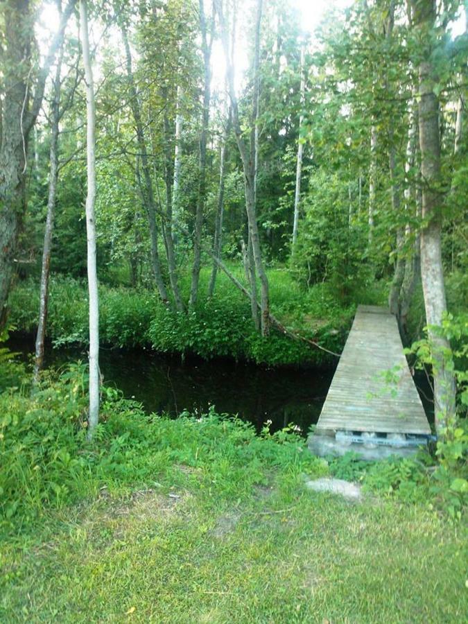 Hannunluhdan Lomamoekit Karijoki Exterior foto